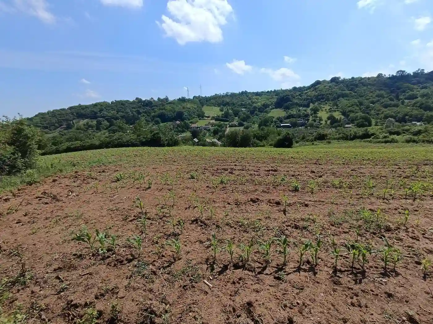plac na prodaju Sremska Kamenica 3459m2 530790