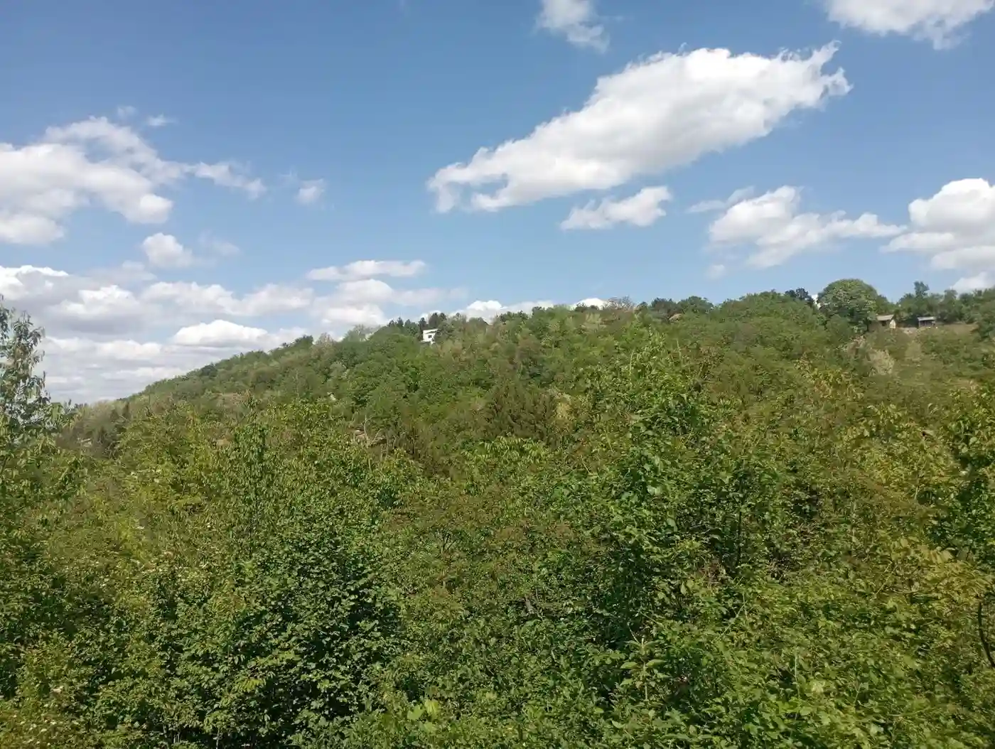 plac na prodaju Sremska Kamenica 540m2 530775