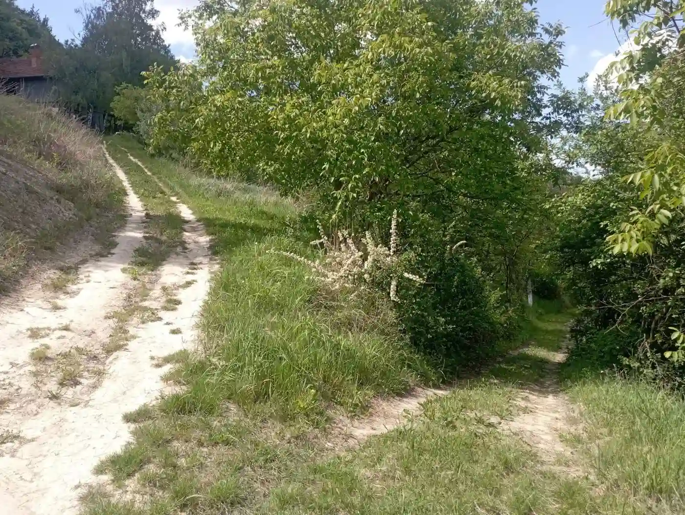 plac na prodaju Sremska Kamenica 540m2 530775