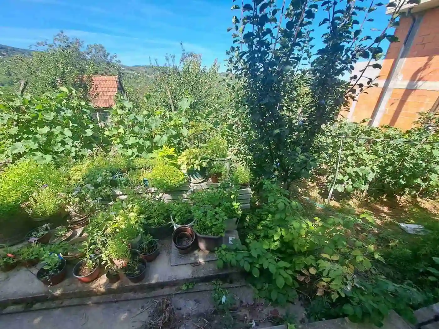 plac na prodaju Sremska Kamenica 1005m2 531481