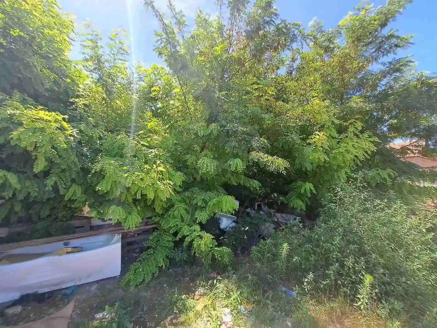 plac na prodaju Novi Sad, 1291m2 531487