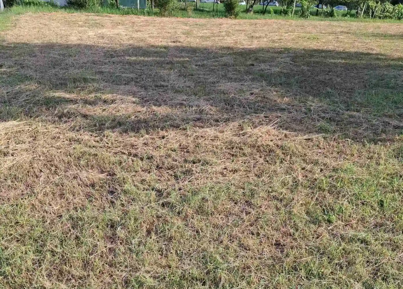 plac na prodaju Bačko Gradište, 656m2 531667