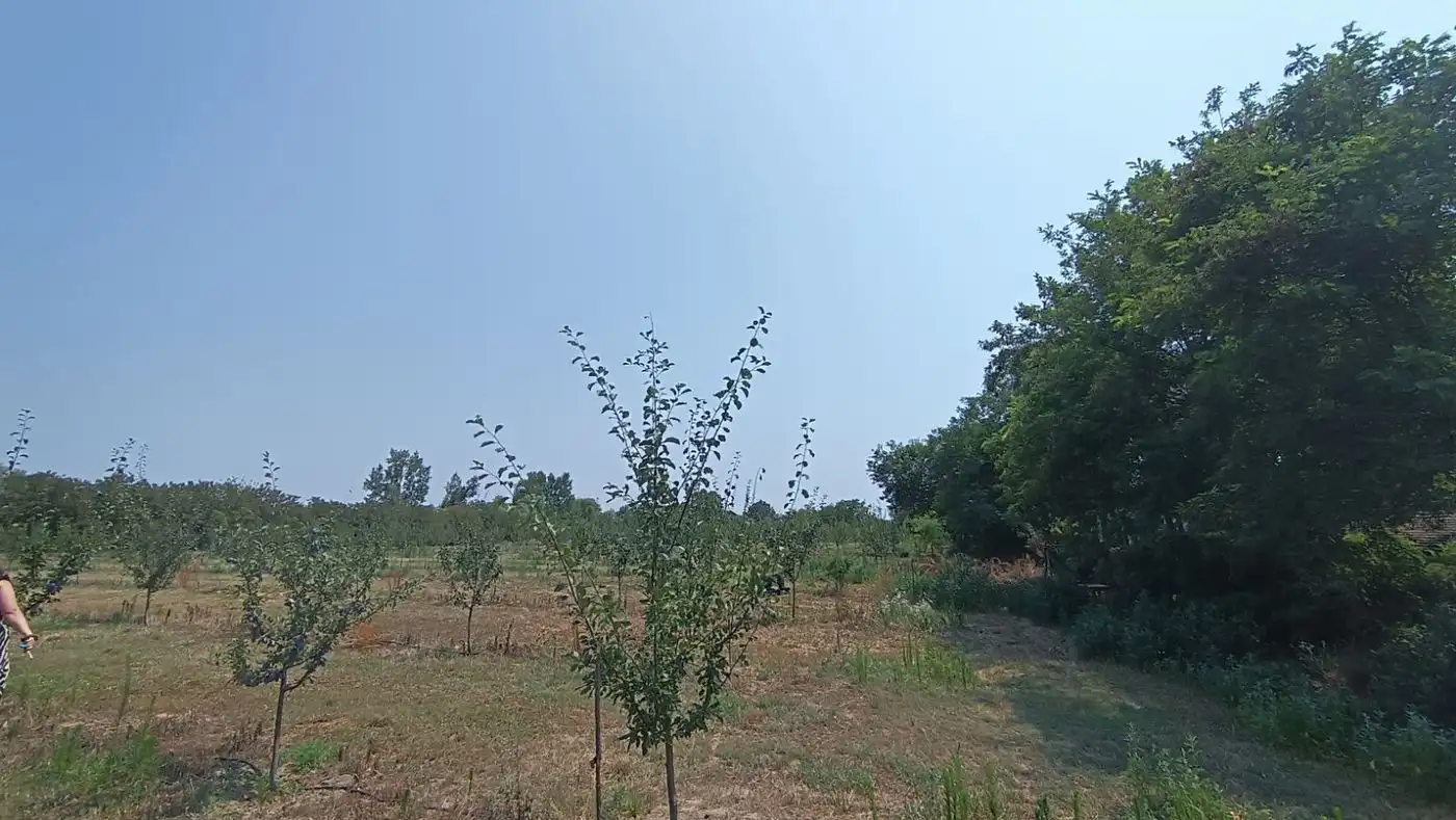 plac na prodaju Kać, 24095m2 532120