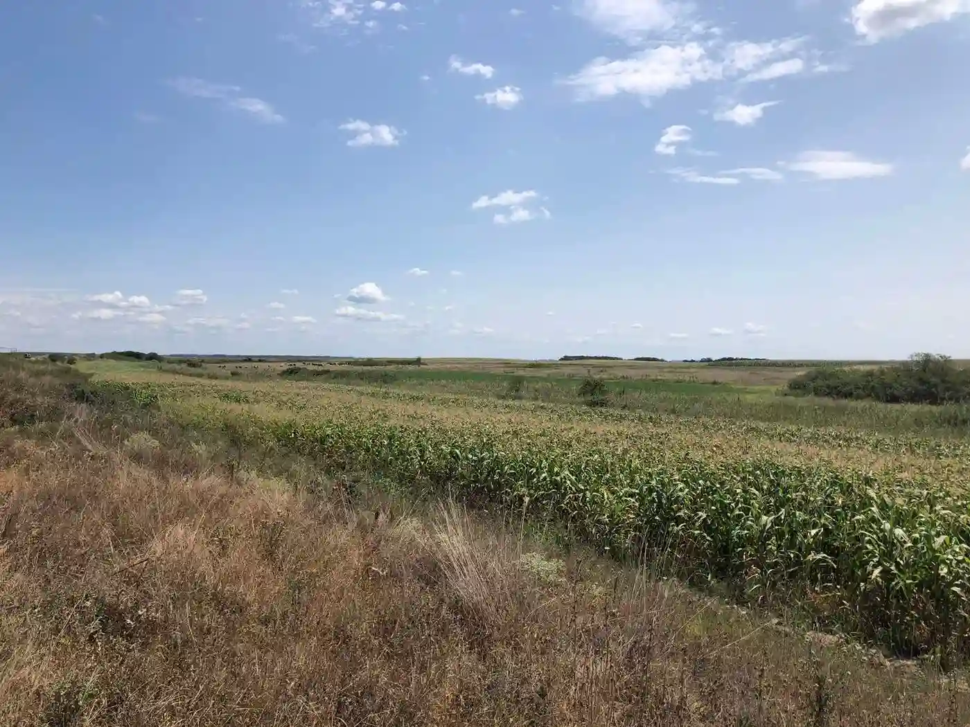 plac na prodaju Đurđevo, 14932m2 532344