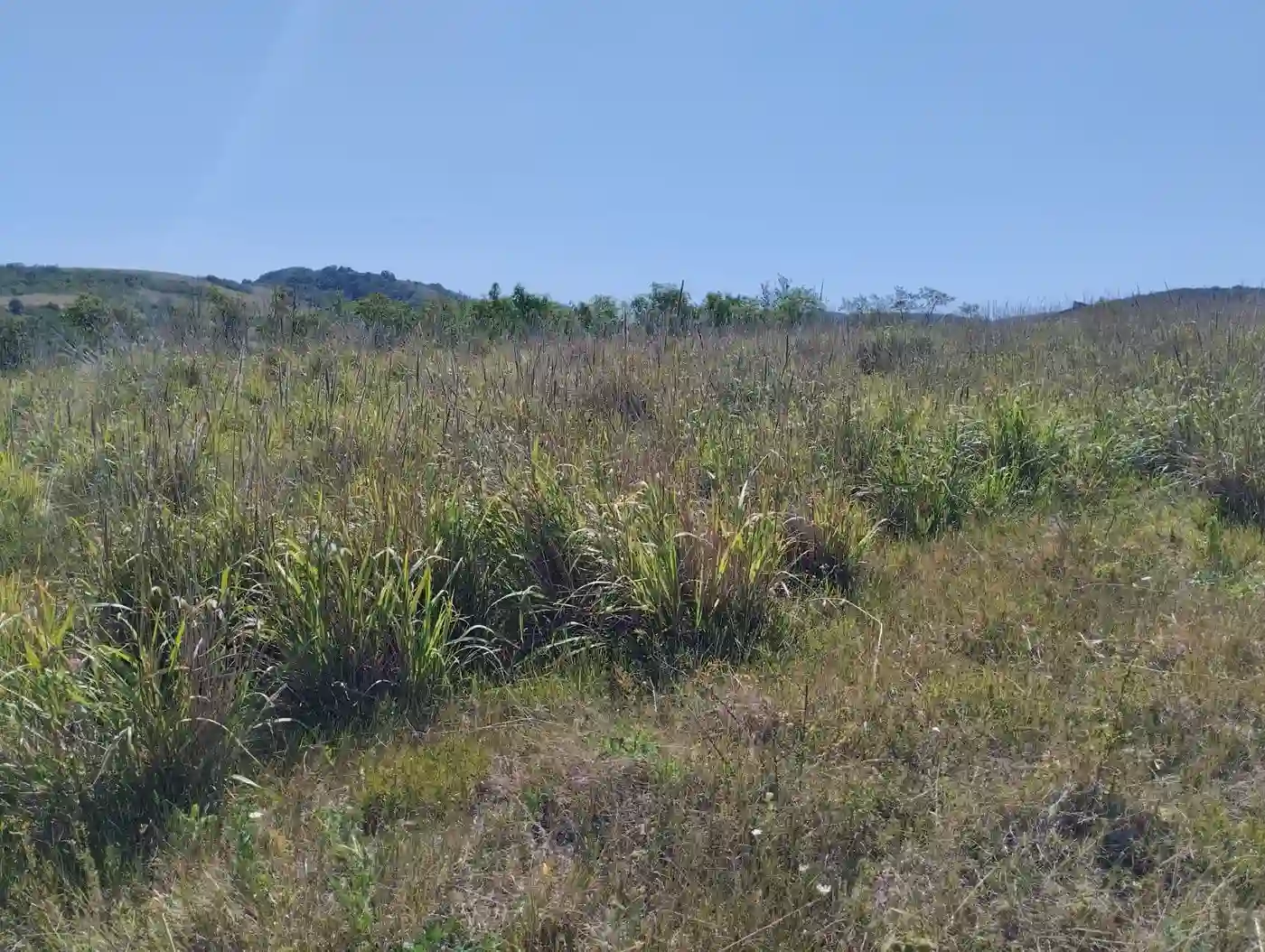 plac na prodaju Beočin 7205m2 553233