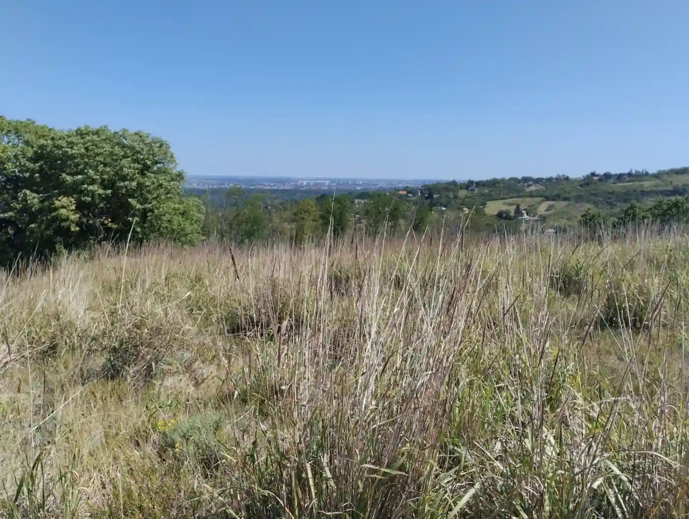 plac na prodaju Beočin 7205m2 553233