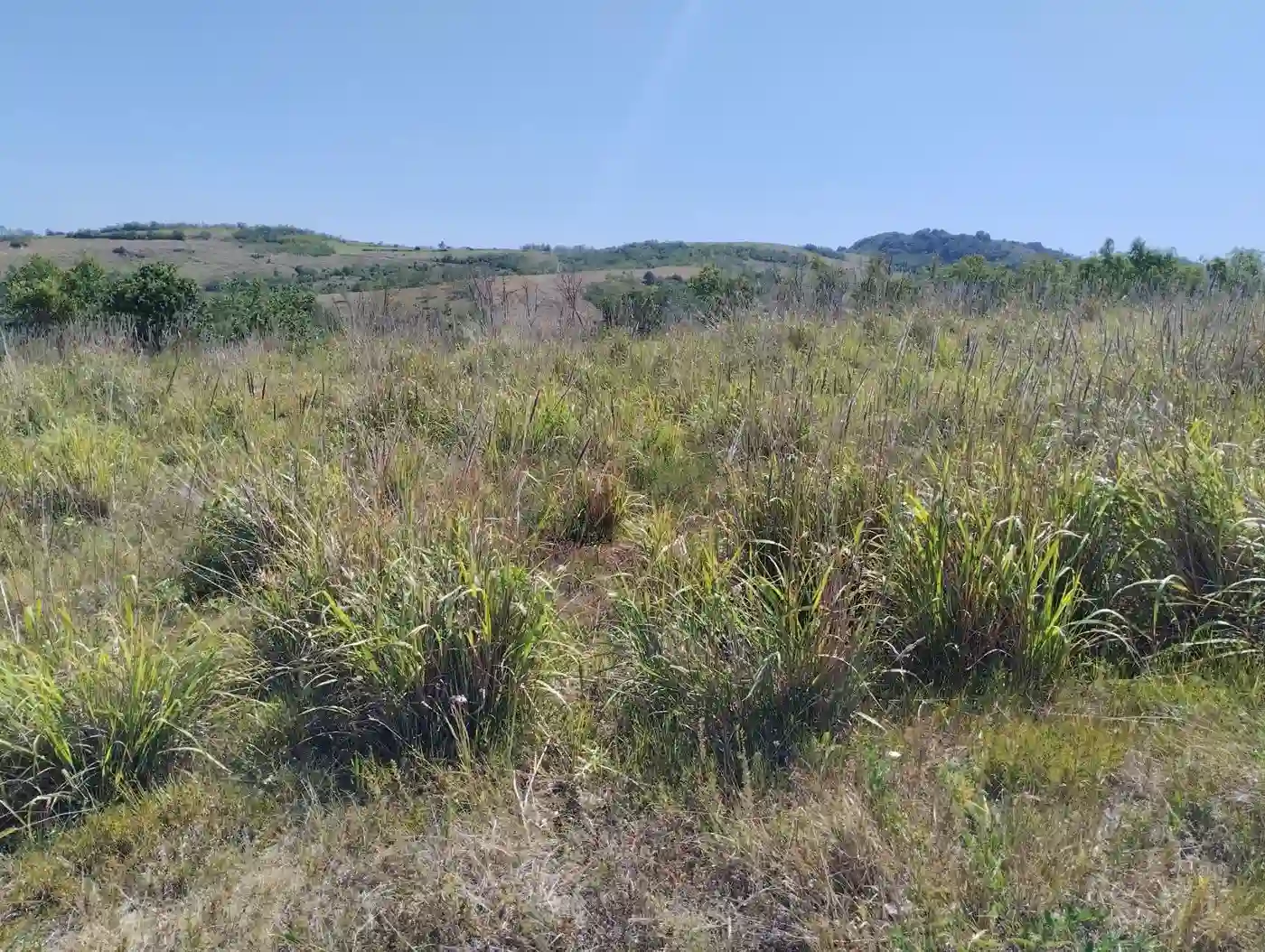 plac na prodaju Beočin 7205m2 553233