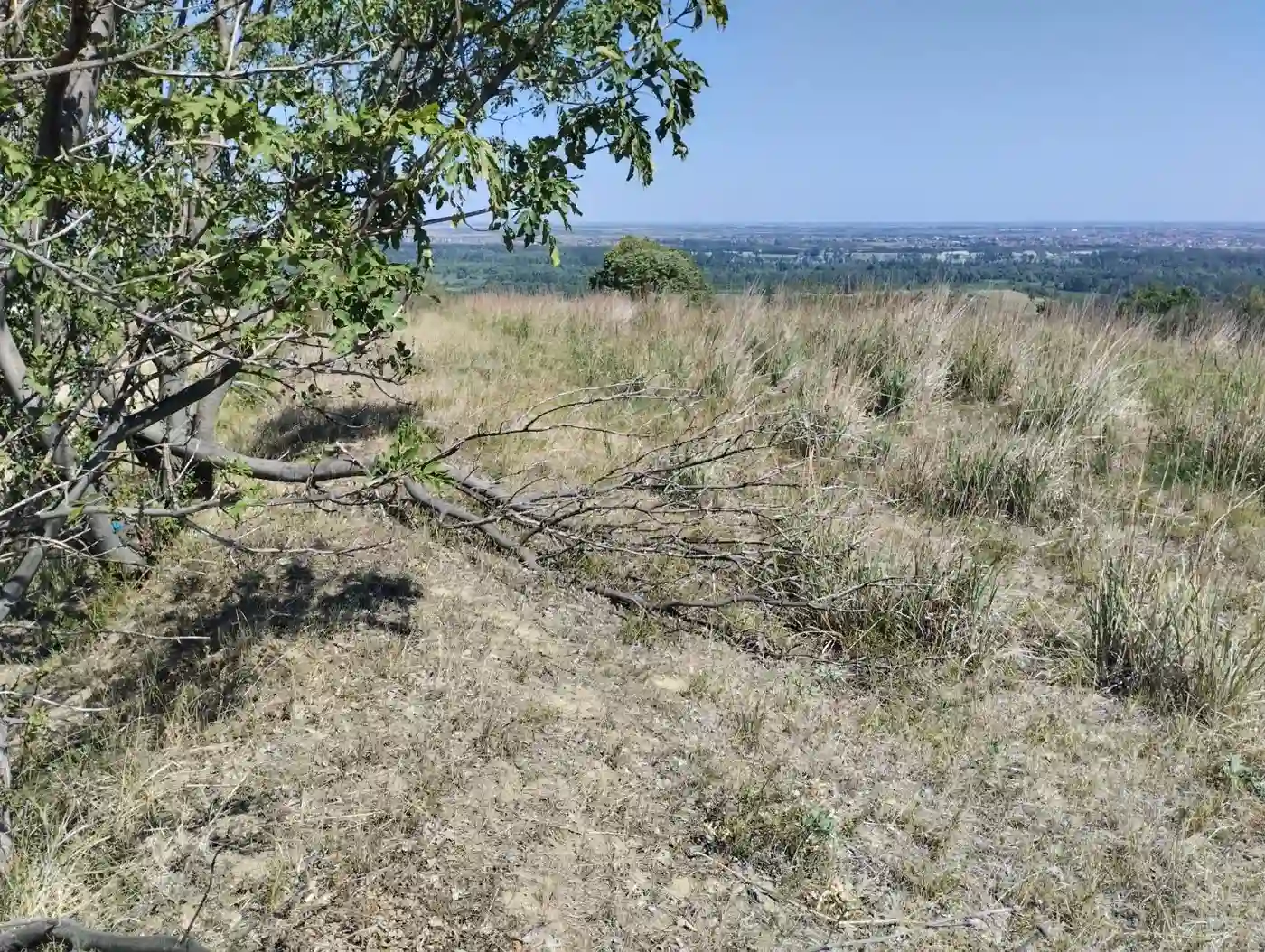 plac na prodaju Beočin 7205m2 553233