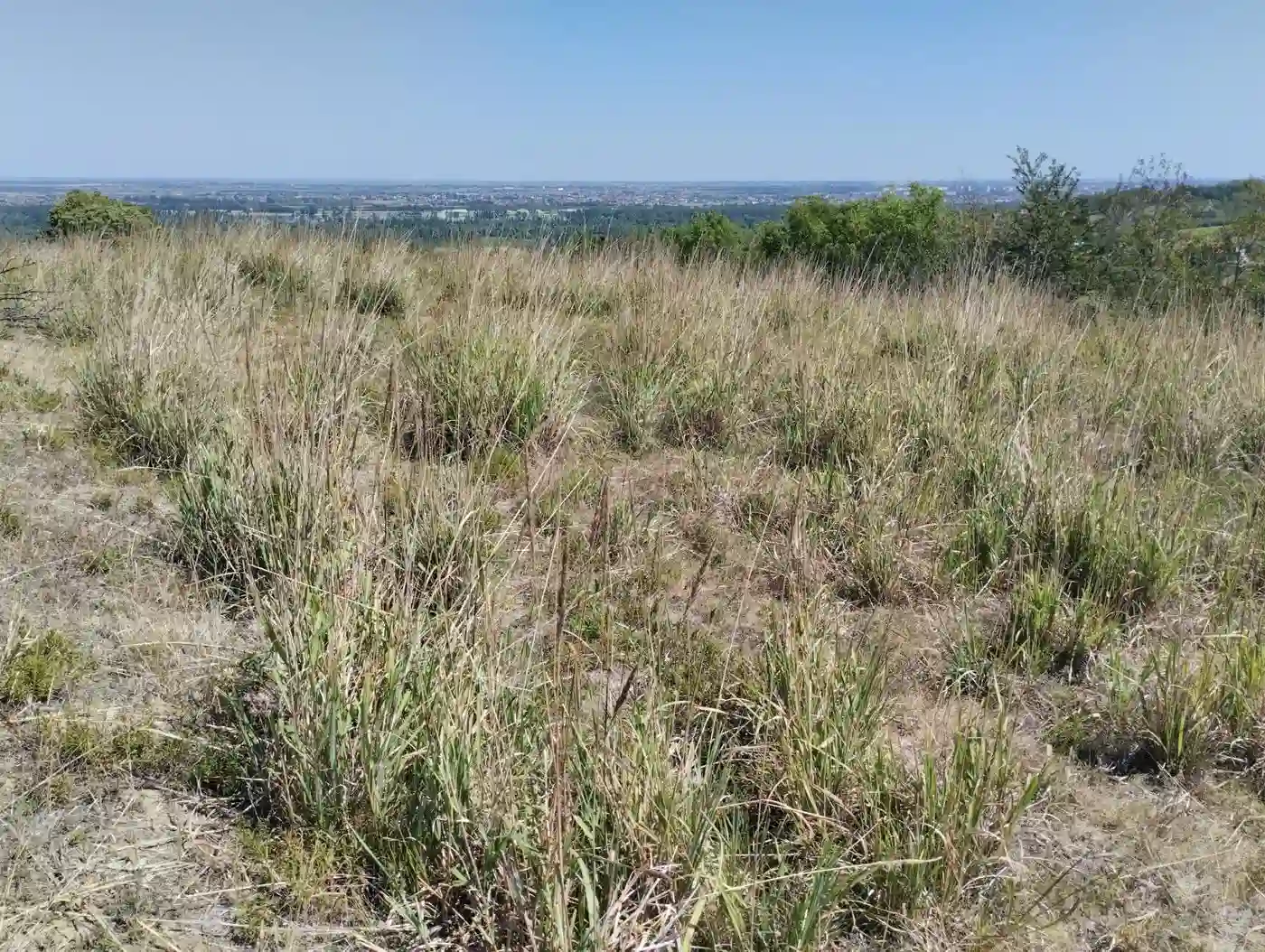 plac na prodaju Beočin 7205m2 553233