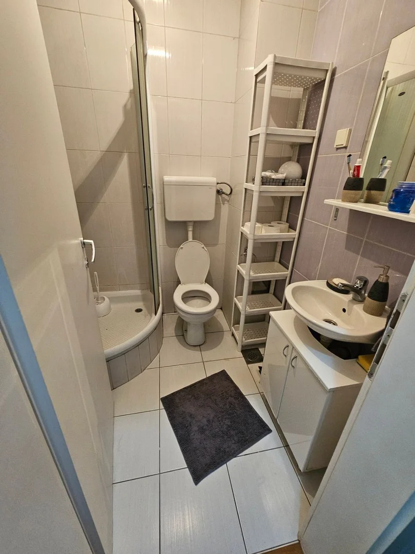 Stan za izdavanje Novi Sad 35m2, 11480