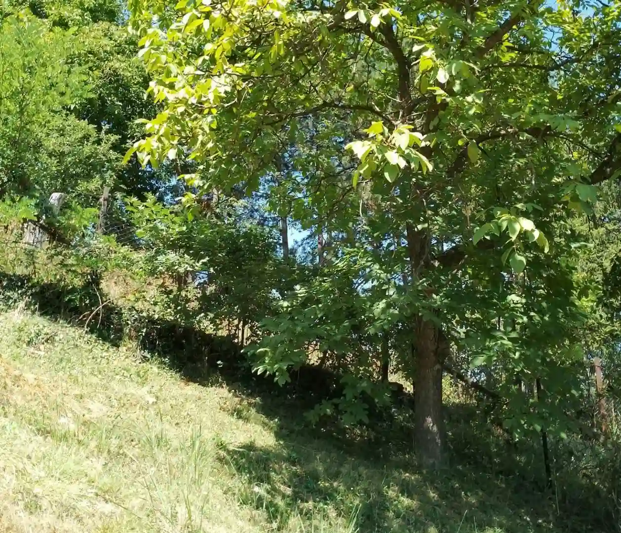 kuca na prodaju Sremska Kamenica 187m2 532588