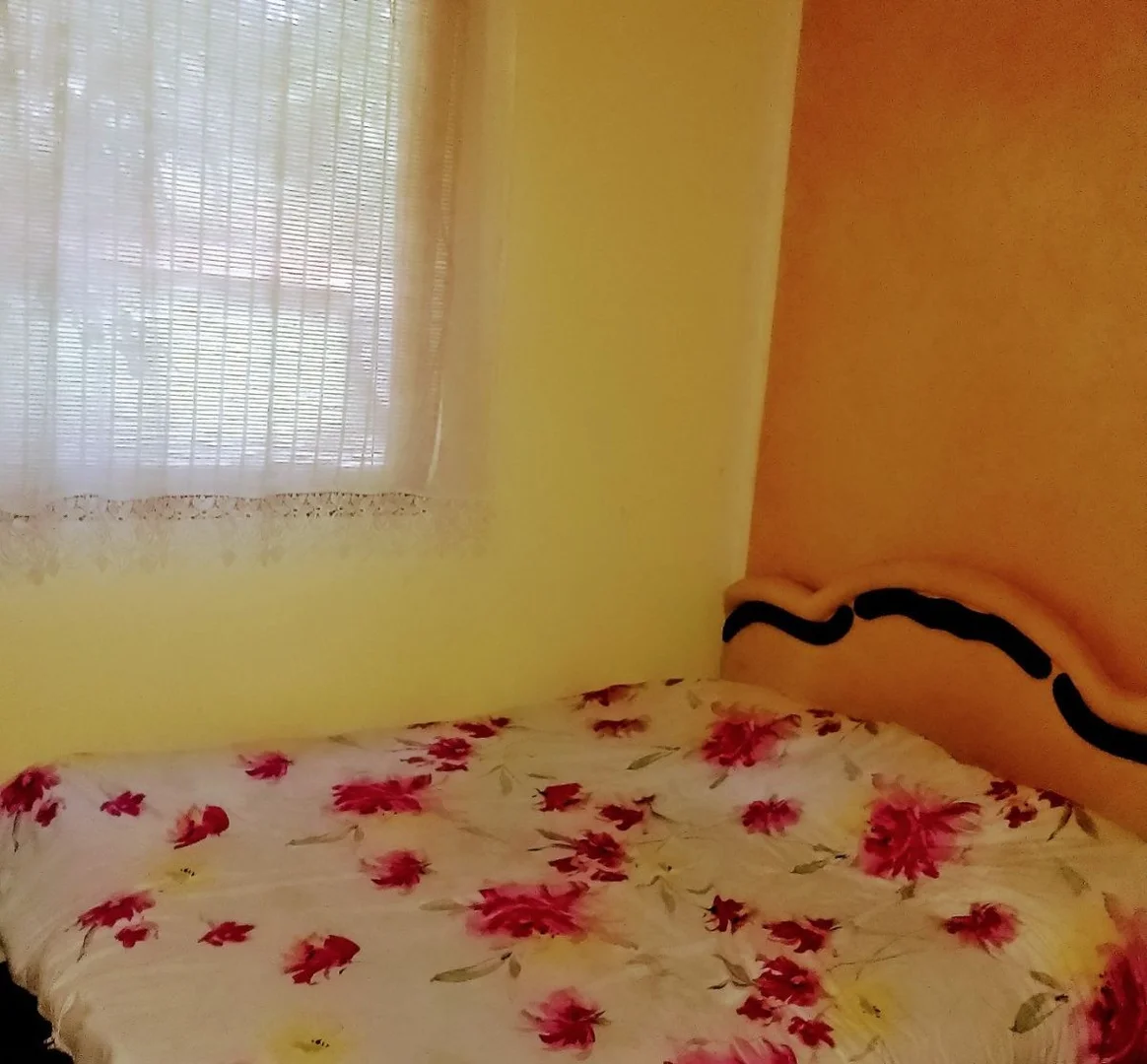 kuca na prodaju Sremska Kamenica 187m2 532588