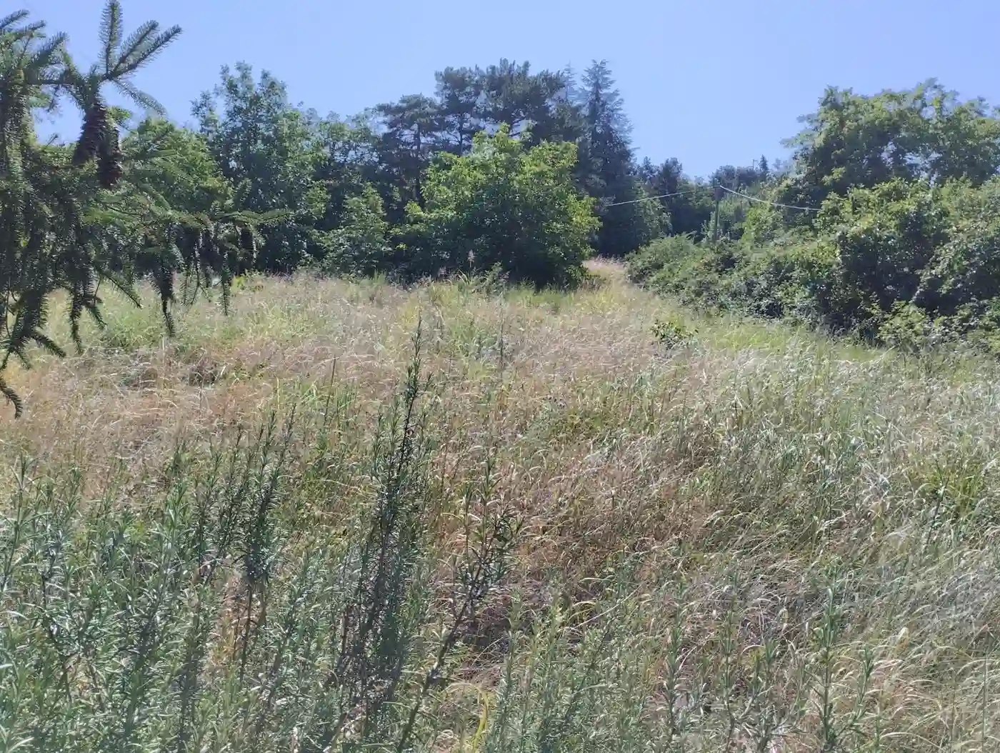 plac na prodaju Sremska Kamenica, 1851m2 553244