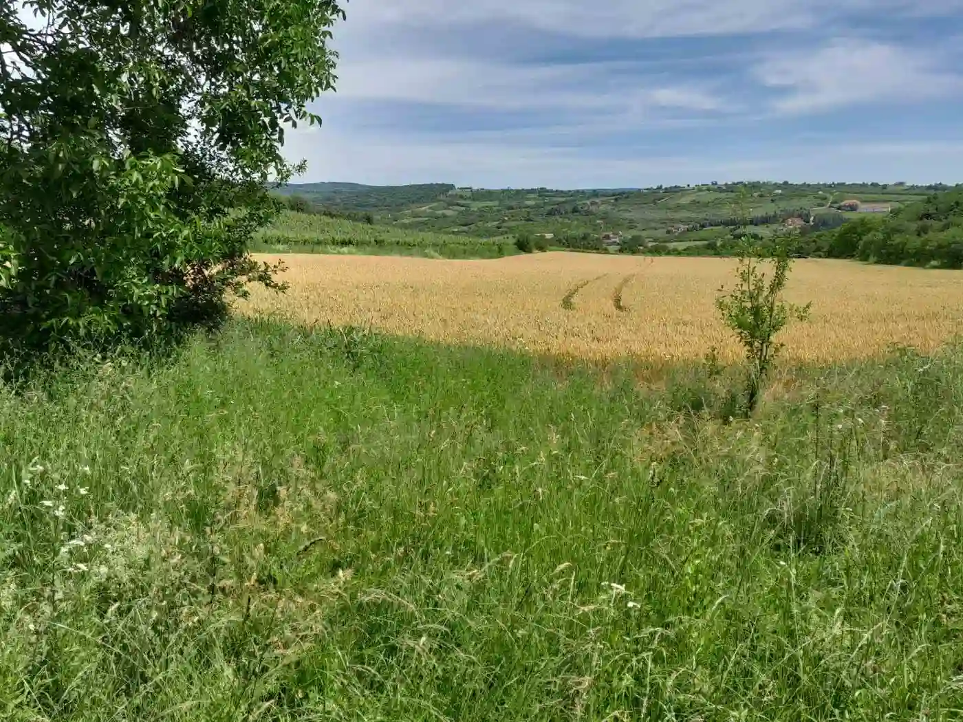plac na prodaju Vrdnik, 565m2 521993