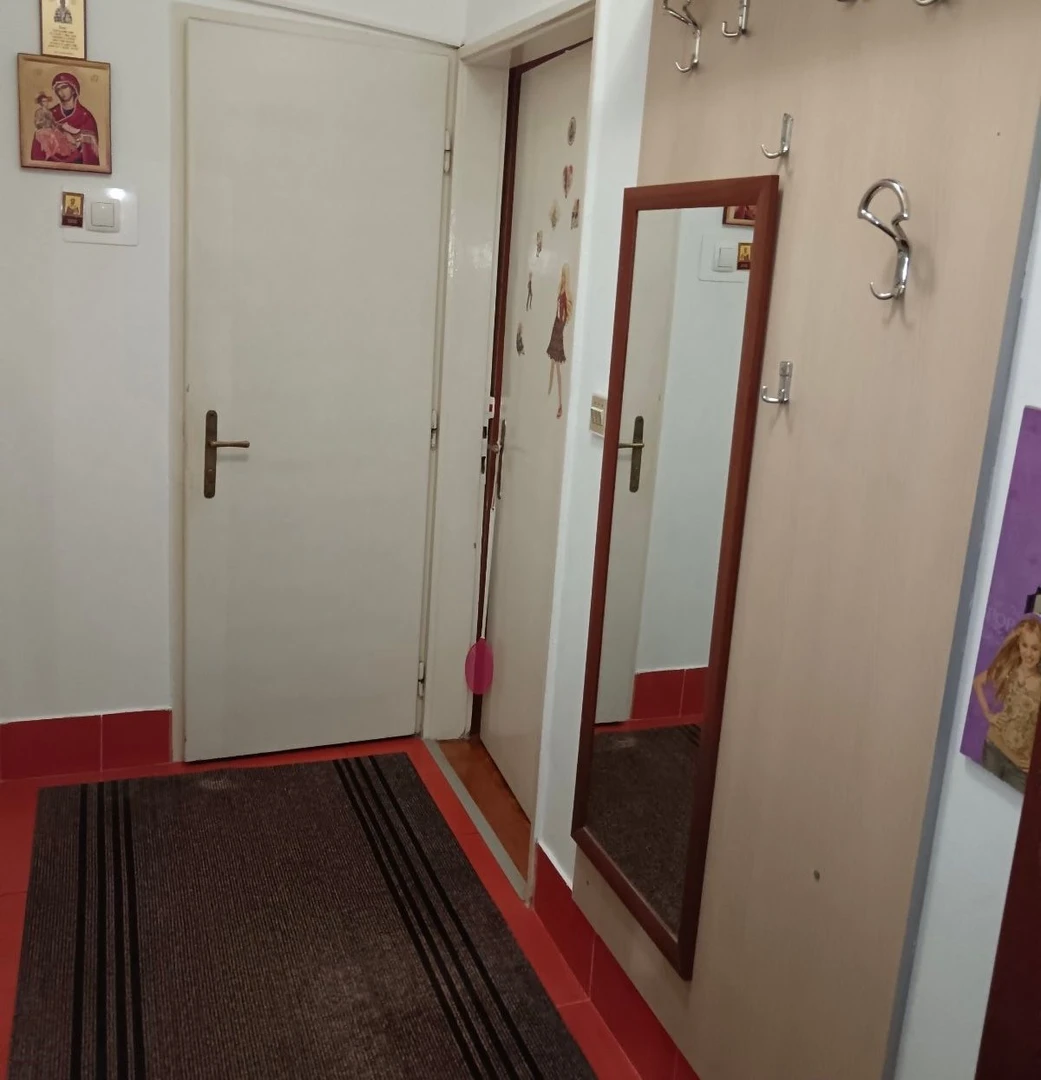 stan na prodaju Novi Sad 48m2 529743
