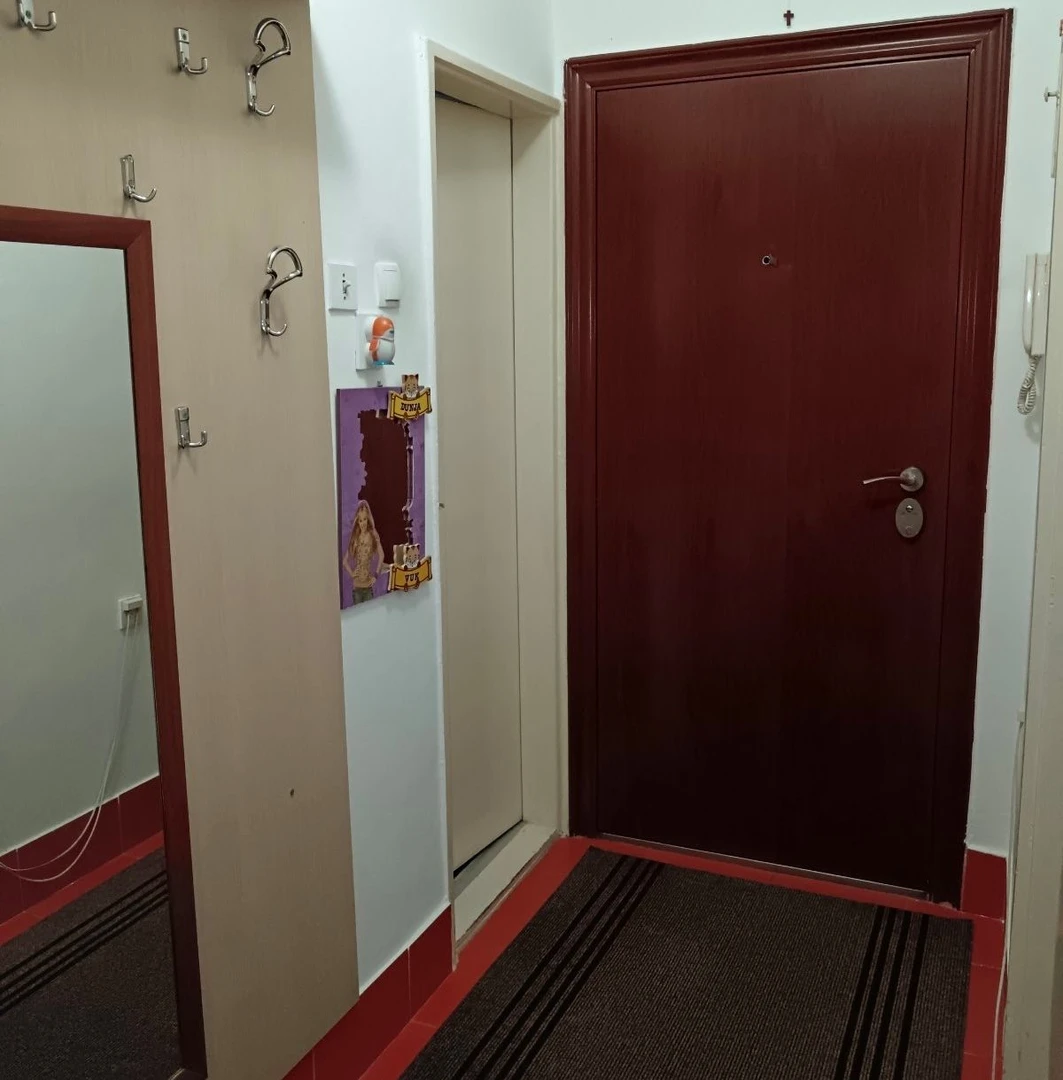 stan na prodaju Novi Sad 48m2 529743