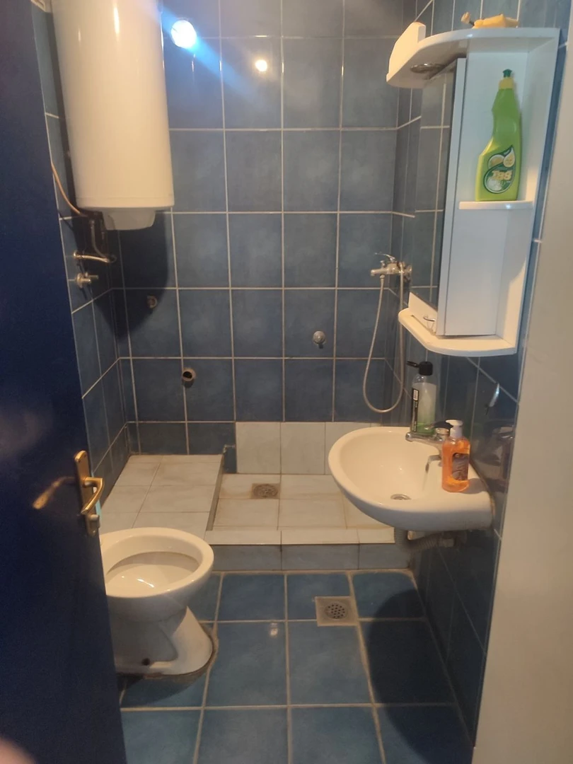 kuca na prodaju Petrovaradin 455m2 532917