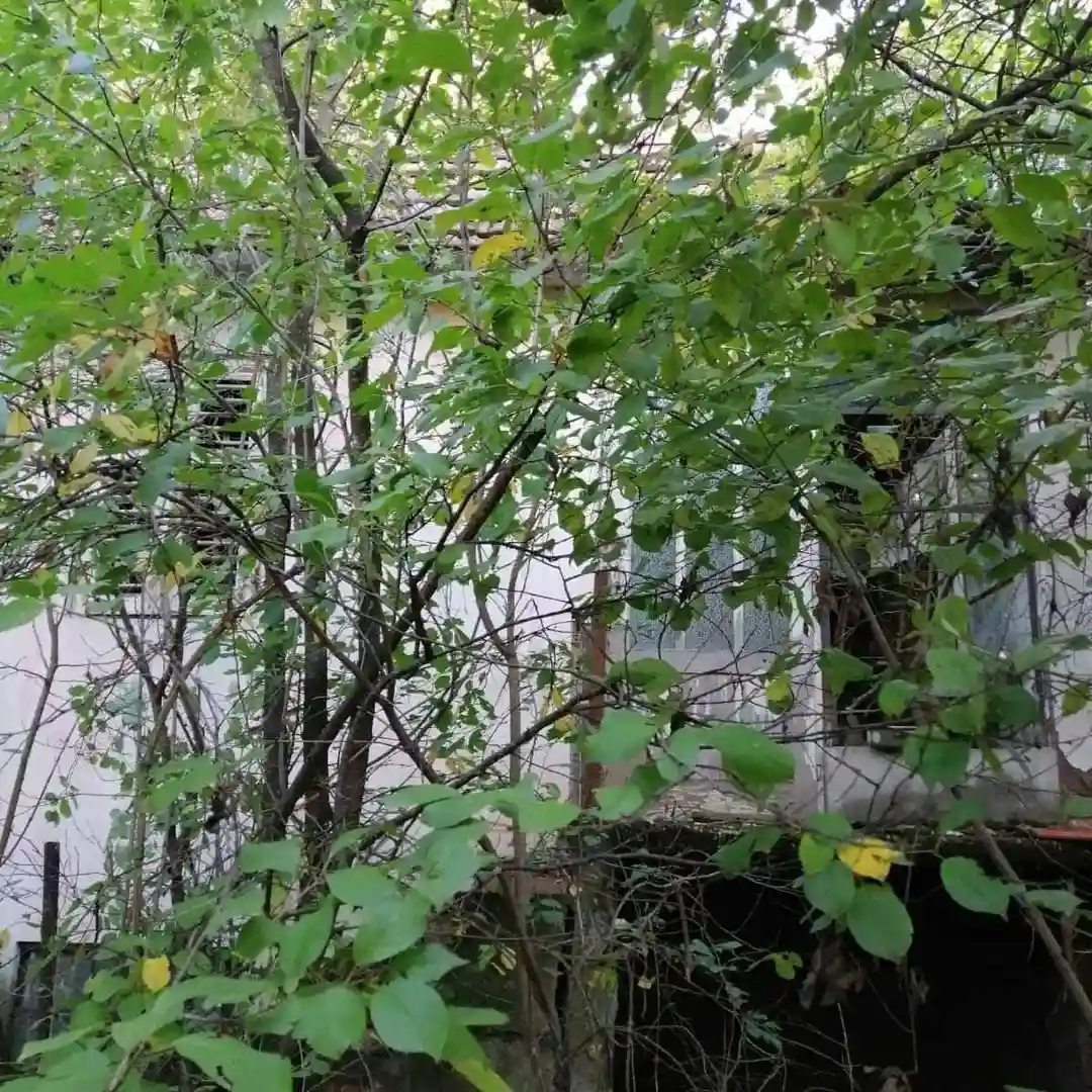 plac na prodaju Beočin 2217m2 529685