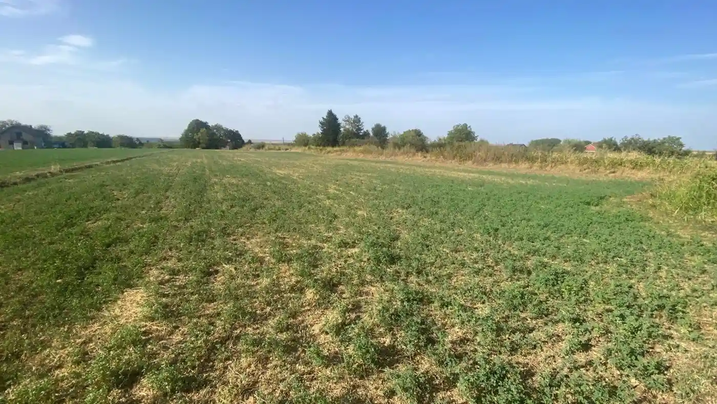 plac na prodaju Beška 3597m2 533398