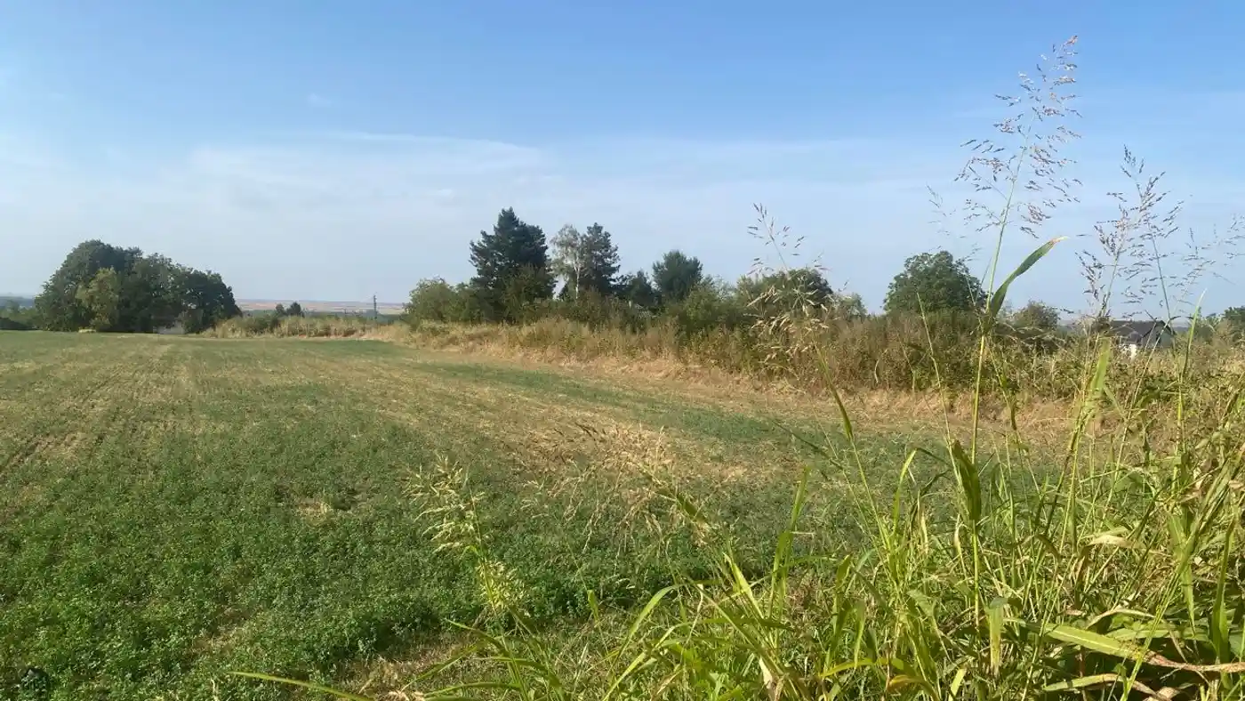 plac na prodaju Beška 3597m2 533398