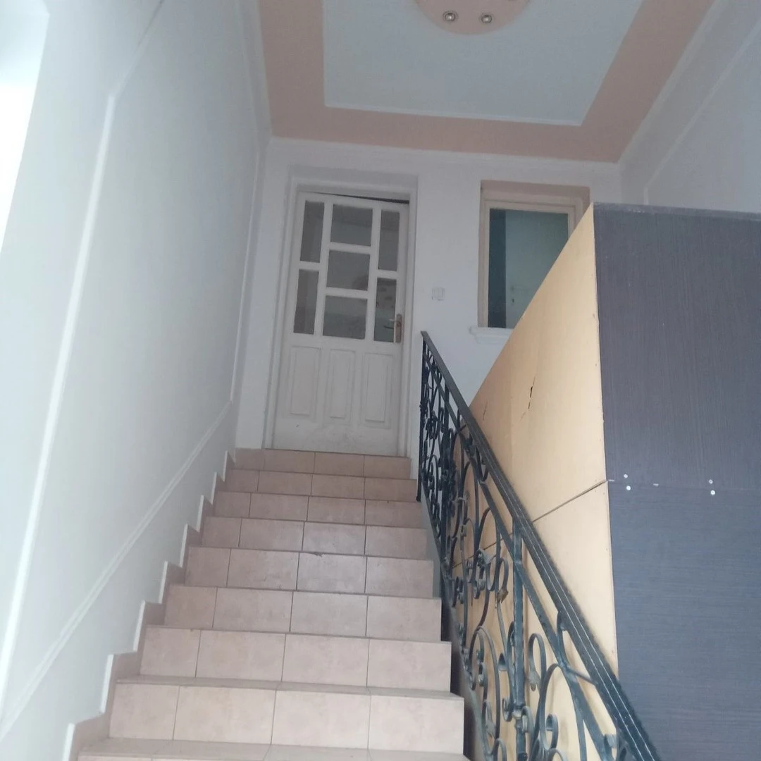 kuca za izdavanje Novi Sad 313m2 11594