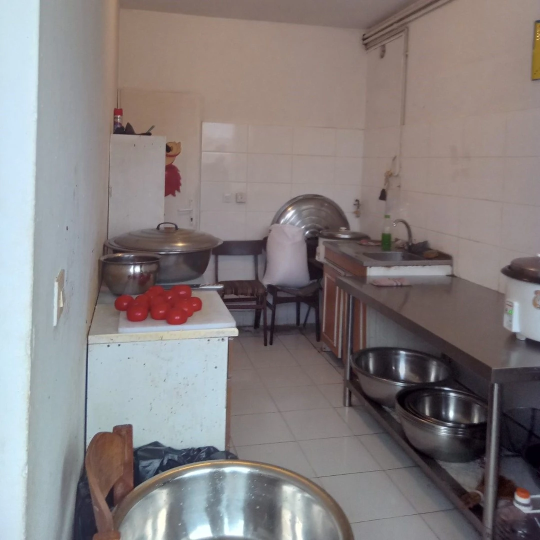 kuca za izdavanje Novi Sad 313m2 11594
