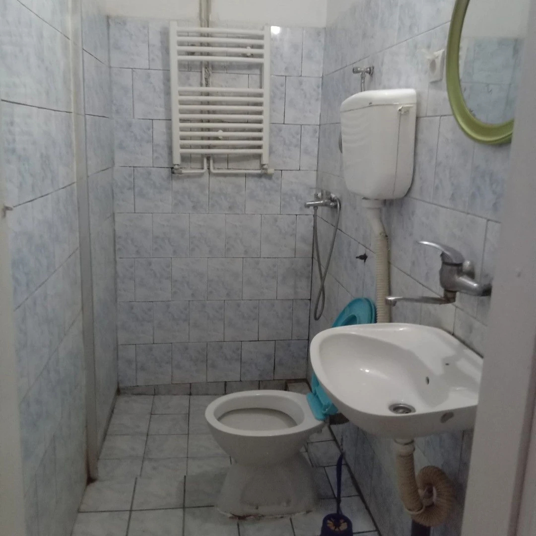 kuca za izdavanje Novi Sad 313m2 11594