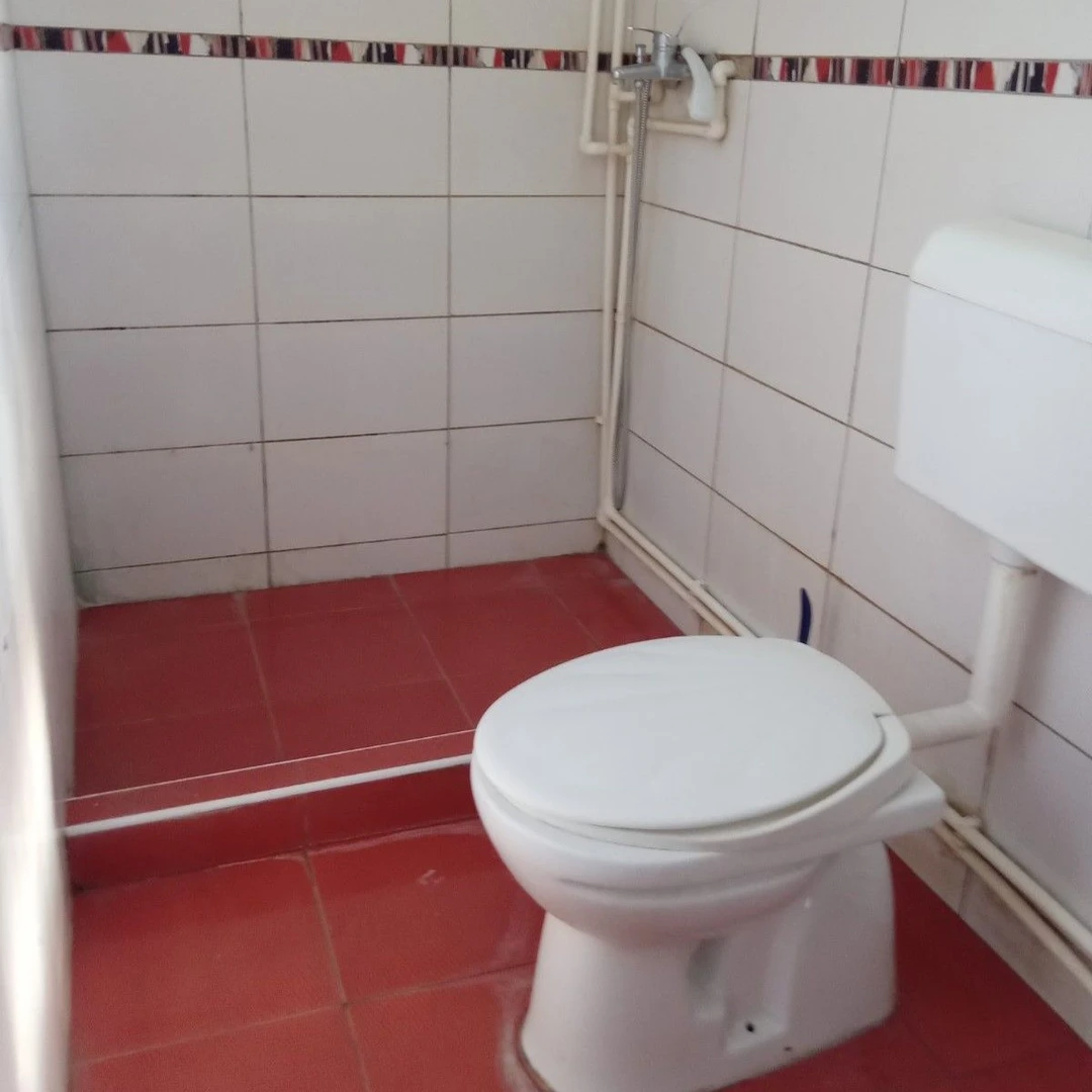 kuca za izdavanje Novi Sad 313m2 11594