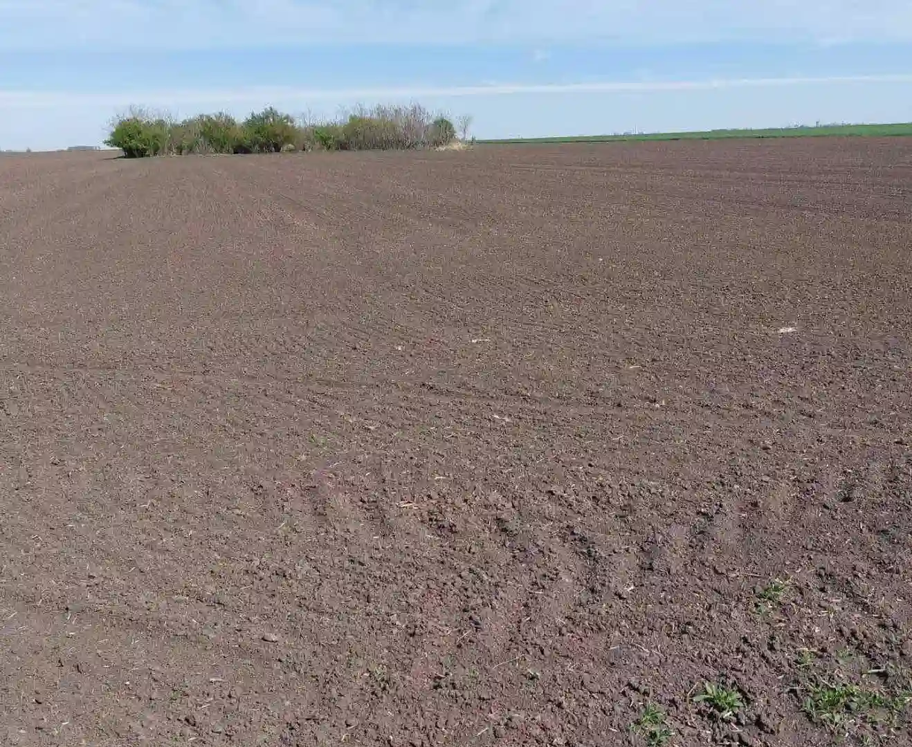 plac na prodaju Kać, 38488m2 533037