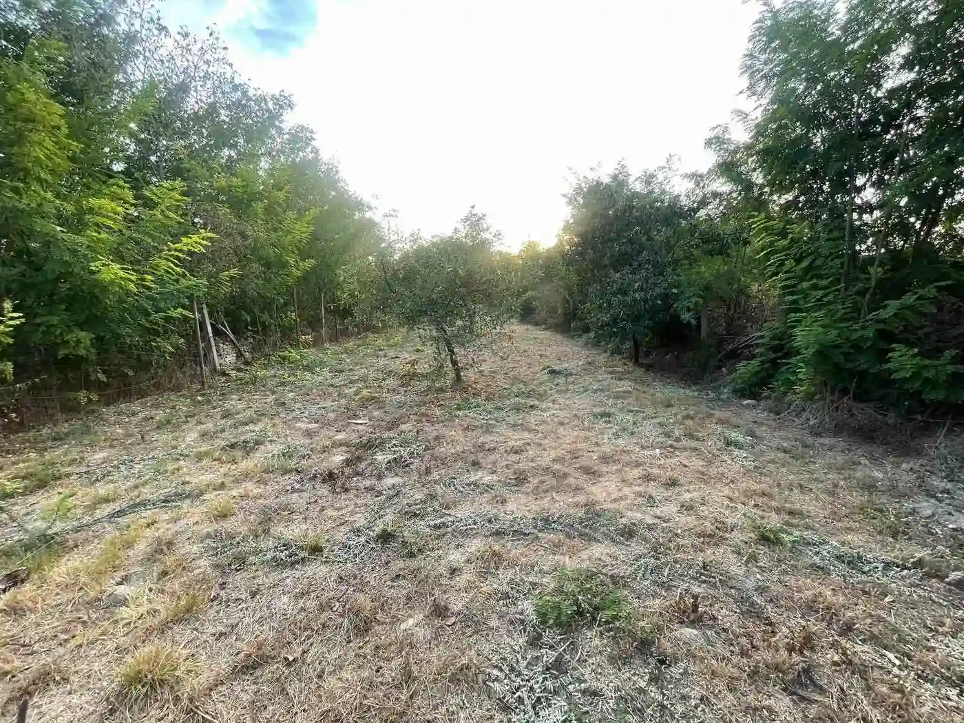 plac na prodaju Veternik 734m2 533501