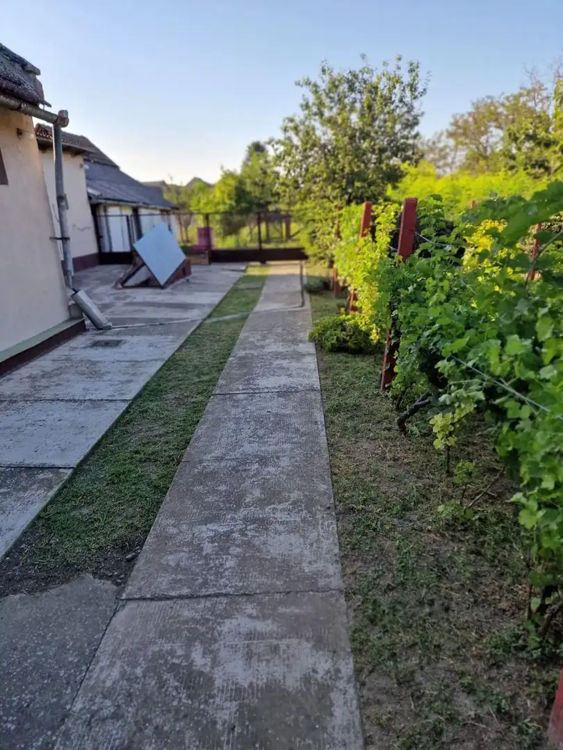kuca na prodaju Čurug 145m2 534205