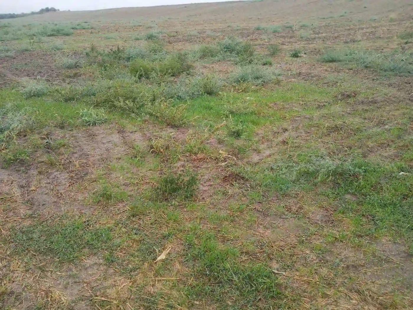 plac na prodaju Vrbas, 3213m2 504641