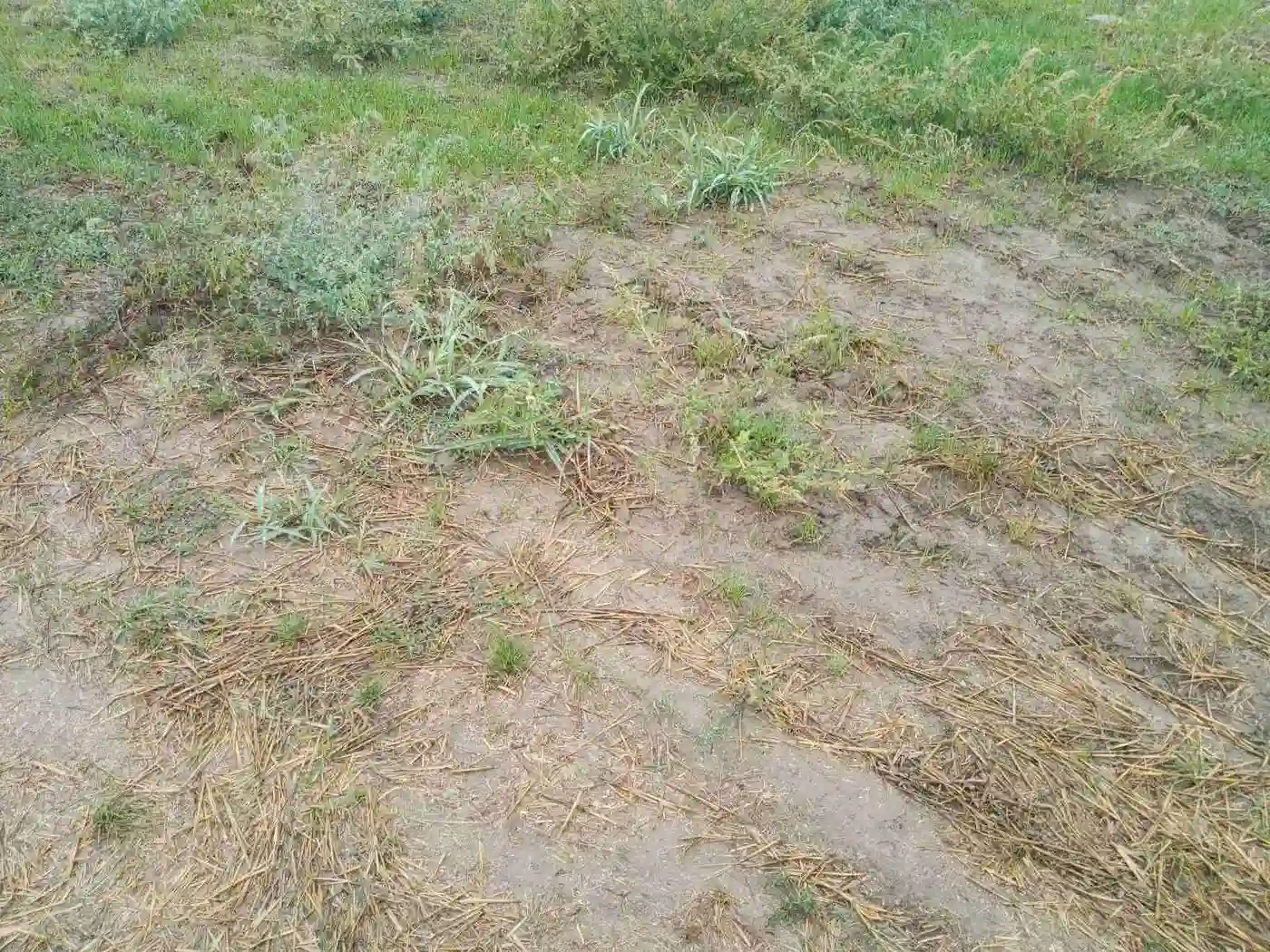 plac na prodaju Vrbas, 13093m2 504640