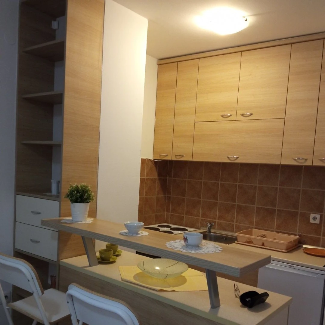 Stan na prodaju Novi Sad 26m2, 11808