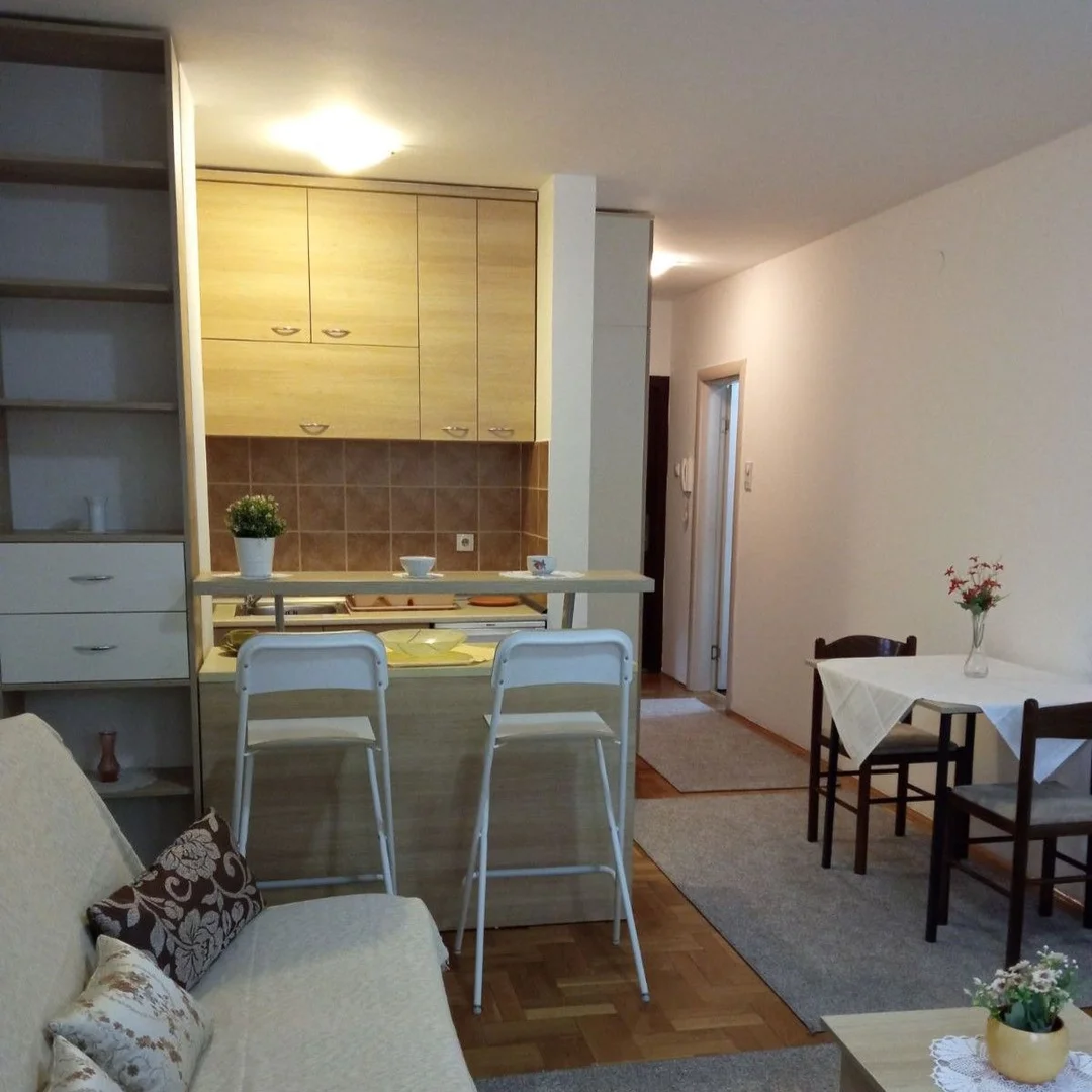 Stan na prodaju Novi Sad 26m2, 11808