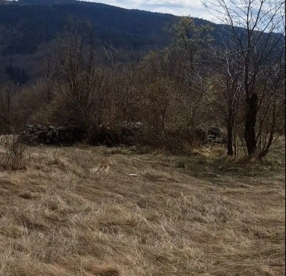 plac na prodaju Zlatibor 22526m2 534746