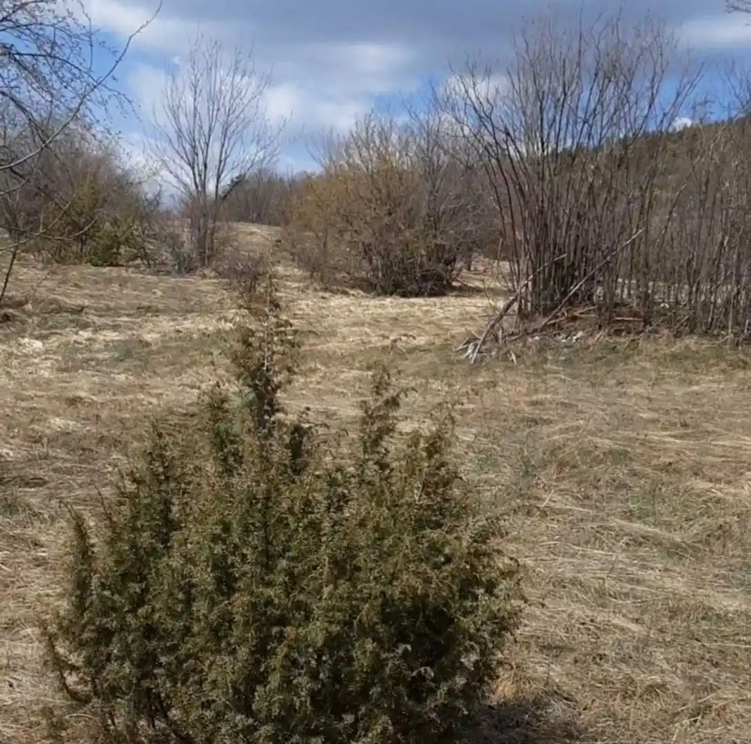plac na prodaju Zlatibor 22526m2 534746