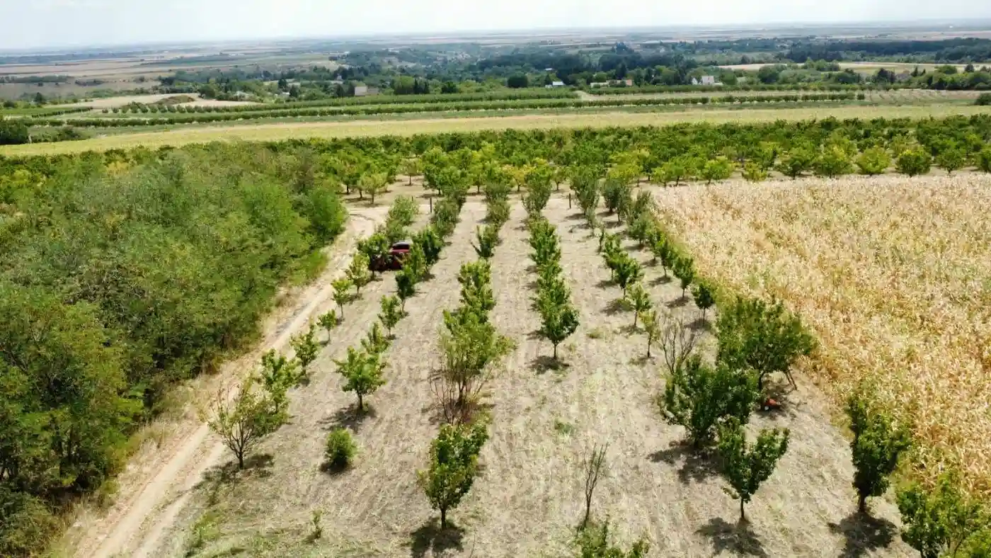 plac na prodaju Krušedol, 2000m2 534826