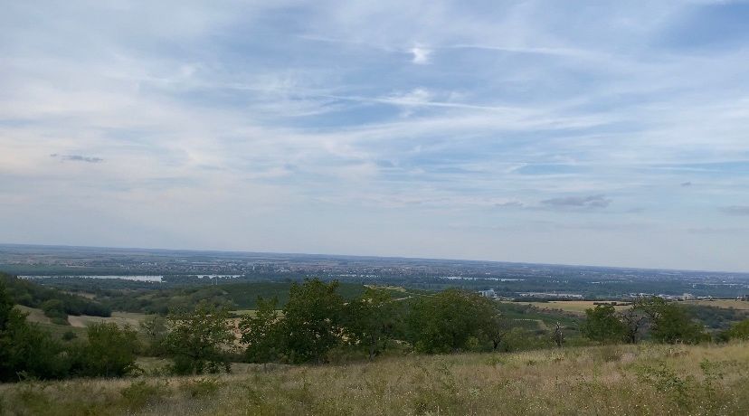 plac na prodaju Čerević 3436m2 534994