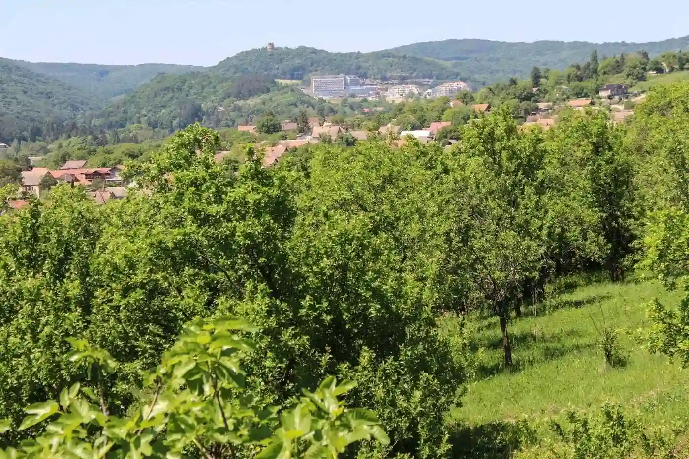 plac za izdavanje Vrdnik, 4785m2 574396