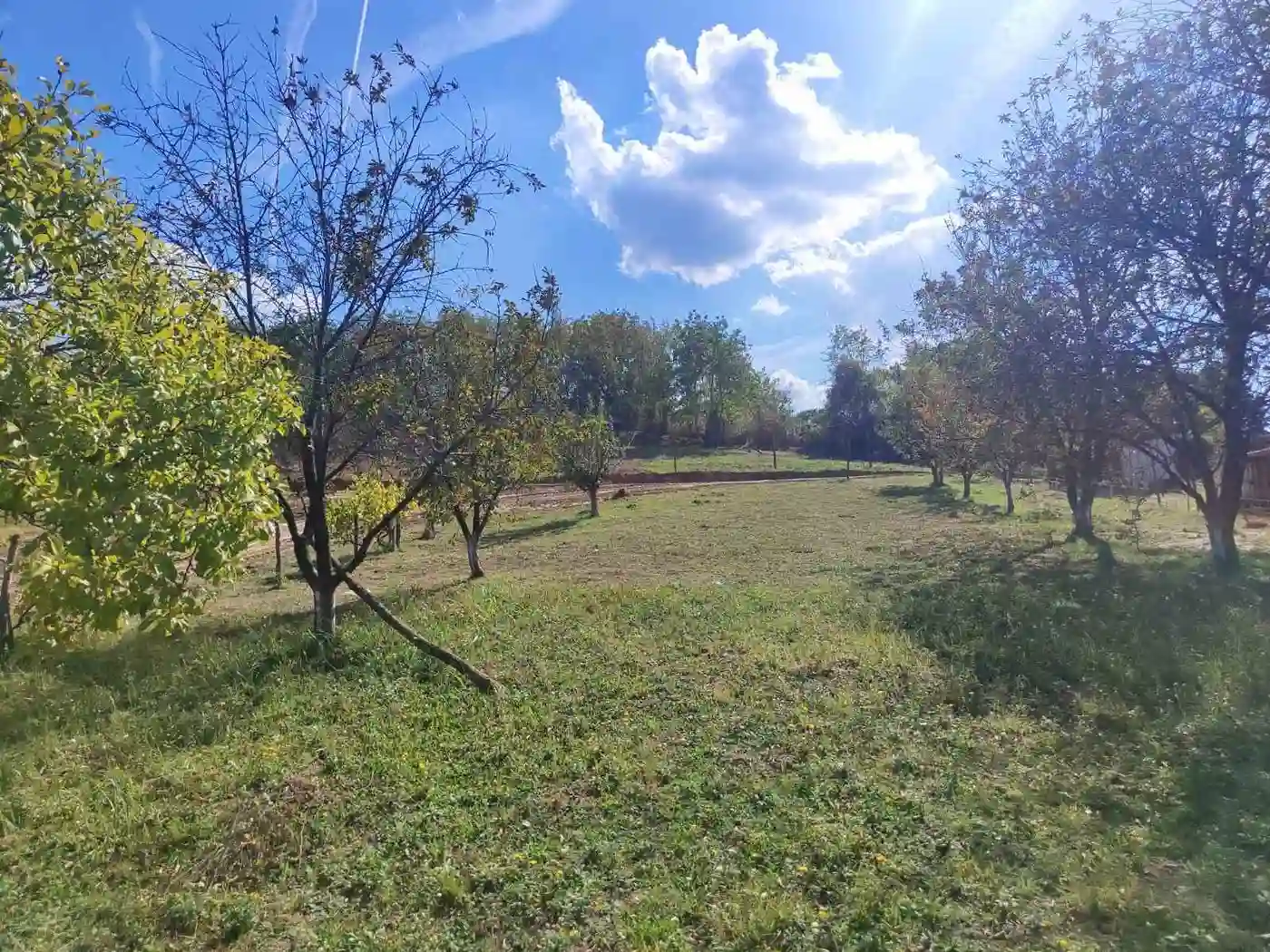 plac na prodaju Petrovaradin, 954m2 535235