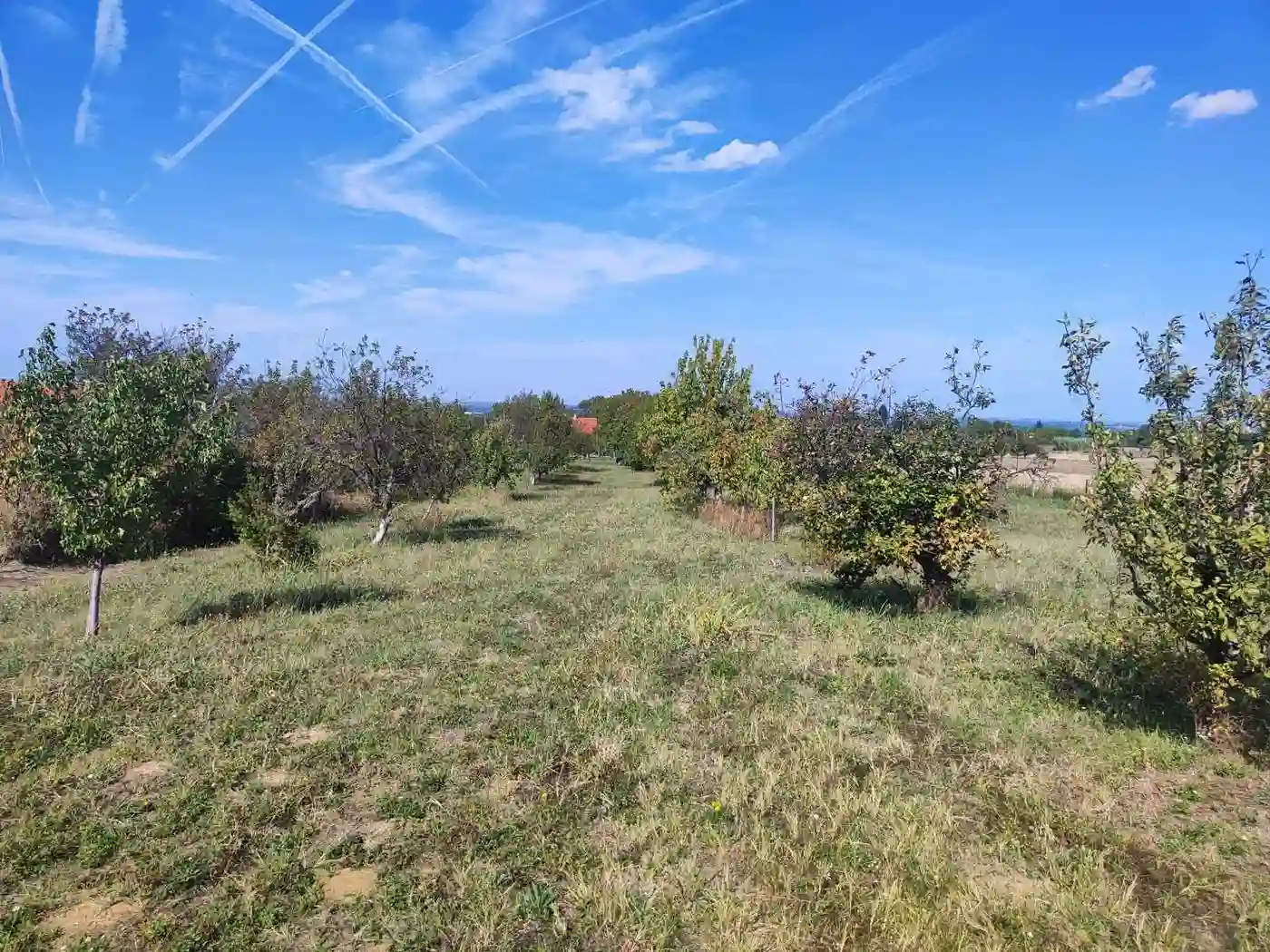 plac na prodaju Petrovaradin 954m2 535235
