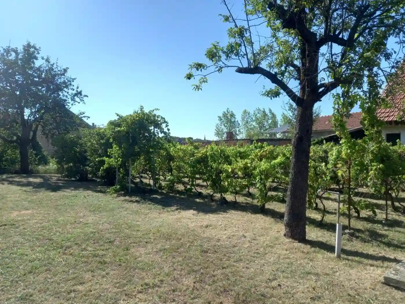 kuca na prodaju Čerević 150m2 535199