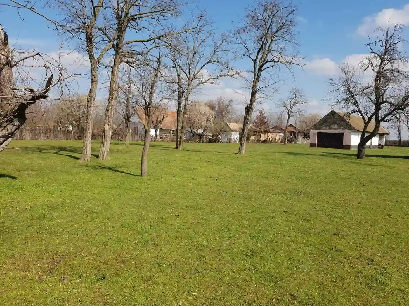 property-card-img-80098