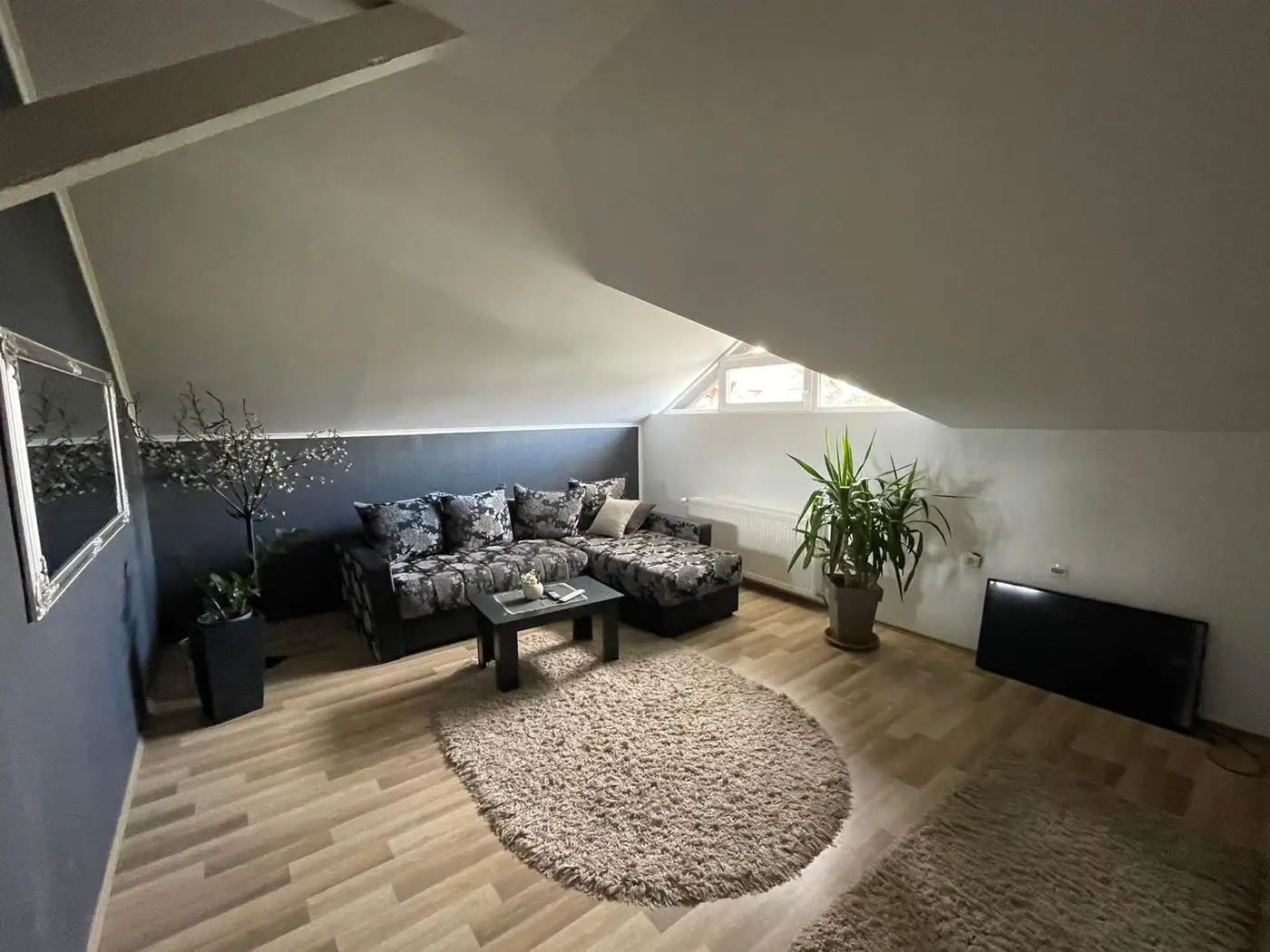 kuca na prodaju Novi Sad 240m2 521234