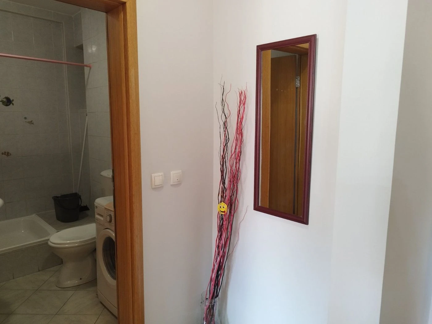 stan na prodaju Novi Sad 50m2 536171