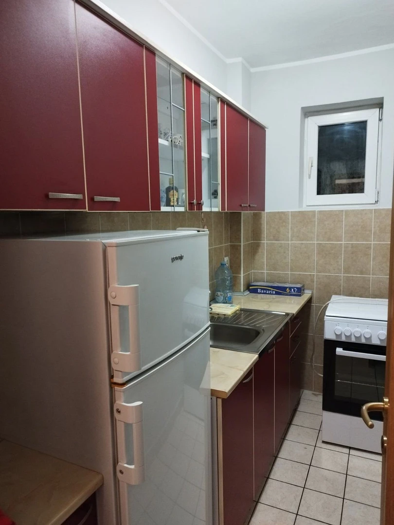 stan na prodaju Novi Sad 50m2 536171