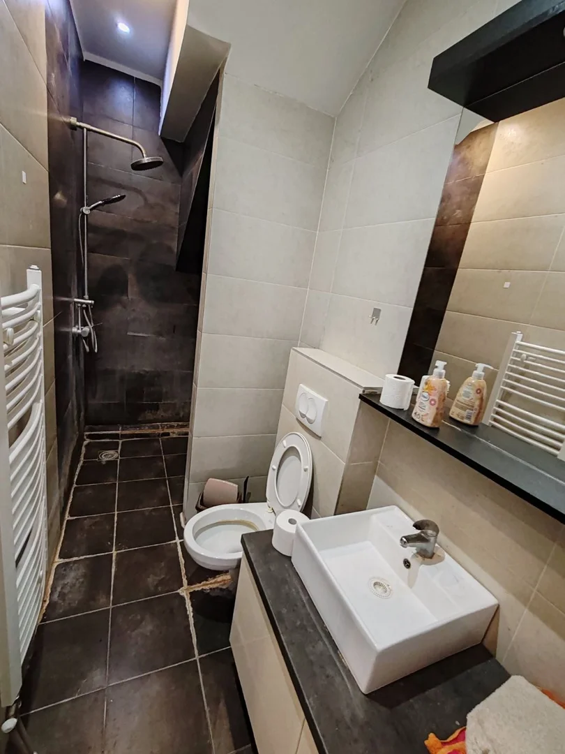 Kuća na prodaju Novi Sad 346m2, 536297