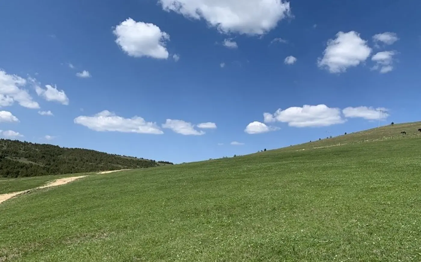plac na prodaju Zlatibor, 9149m2 531892