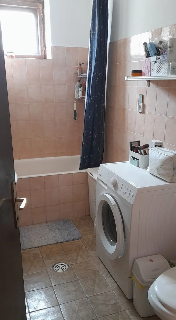 kuca na prodaju Veternik 240m2 536522